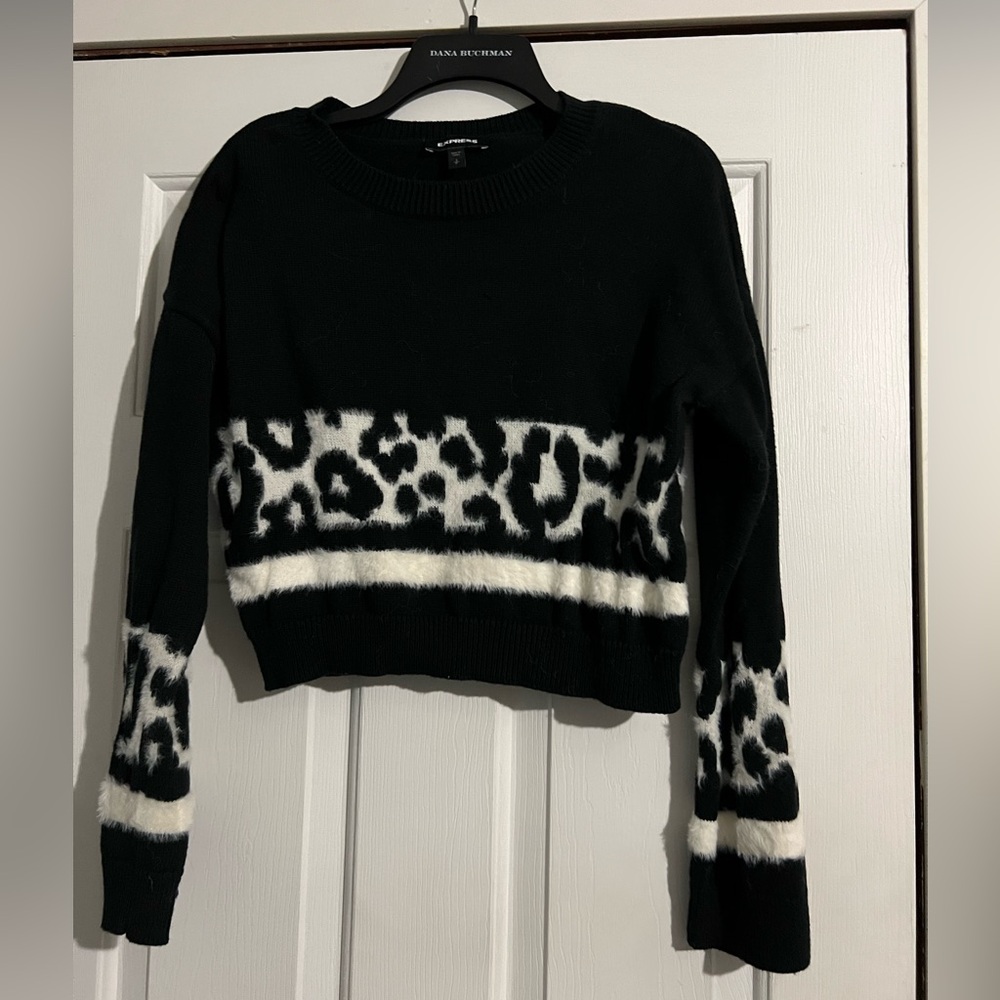 Express Cropped Sweater